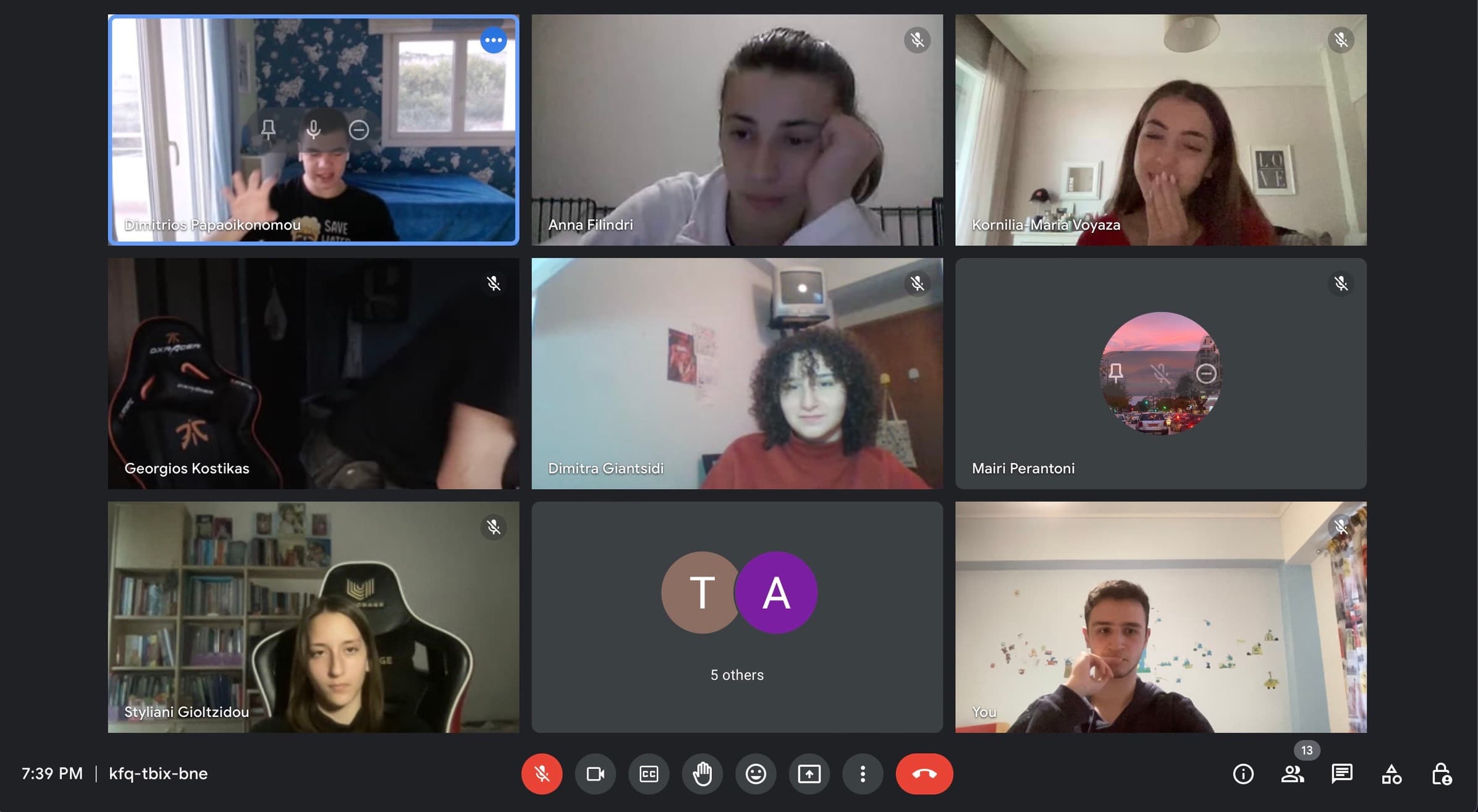 Online team meeting, 2023