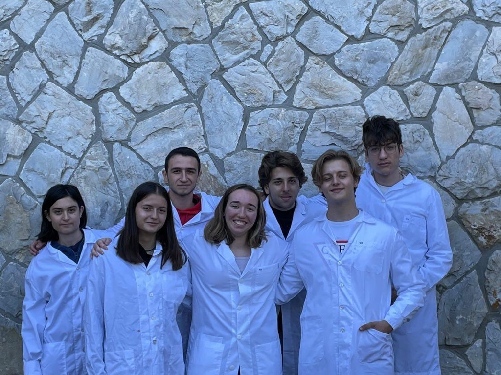 Team Leader & Researcher, iGEM Competition screenshot 2