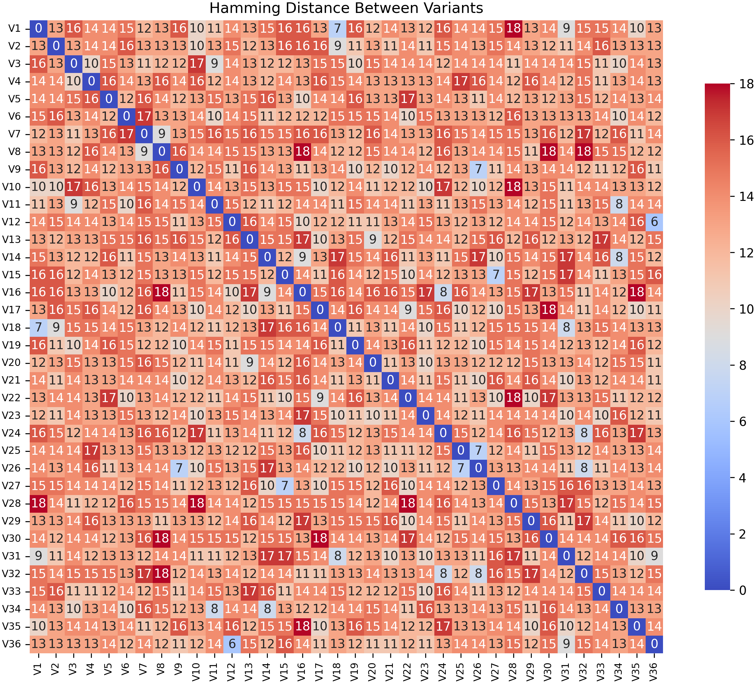 NoRDe – Non-Repetitive RNA Designer screenshot 2