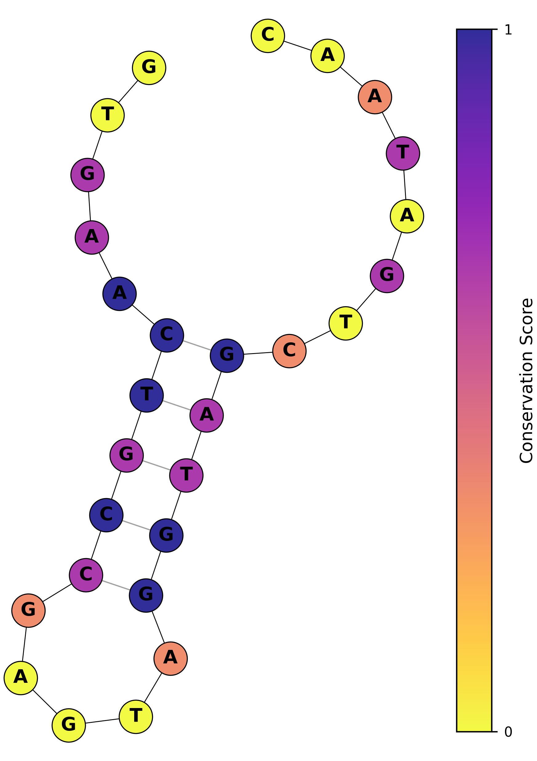 NoRDe – Non-Repetitive RNA Designer screenshot 3